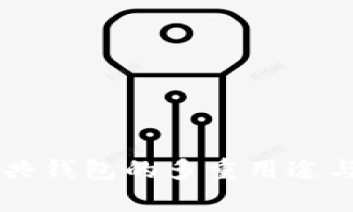 区块链公共钱包的多重用途与优势解析
