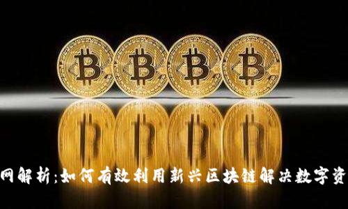 Tokenim主网解析：如何有效利用新兴区块链解决数字资产管理痛点