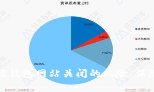 如何应对区块链钱包网站关闭的风险，保障数字资产安全