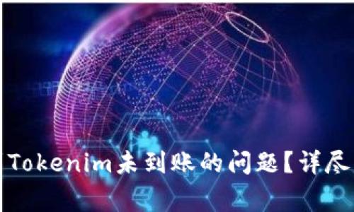 如何解决转币到Tokenim未到账的问题？详尽指南与常见问答