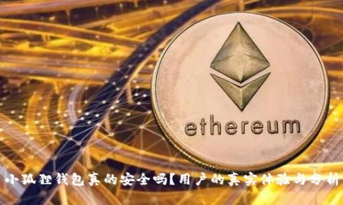 小狐狸钱包真的安全吗？用户的真实体验与分析