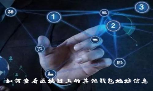 如何查看区块链上的其他钱包地址信息
