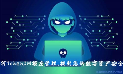 如何TokenIM额度管理，提升您的数字资产安全性