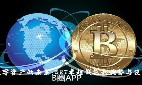 探索数字资产的未来：BRT卓越钱包的优势与使用指南