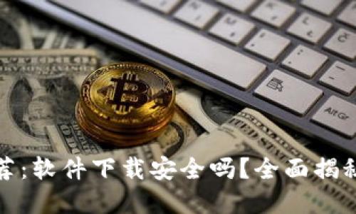 加密钱包推荐：软件下载安全吗？全面揭秘与实用指南