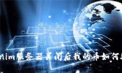 Tokenim服务器关闭后我的币