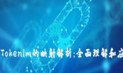 ### Tokenim的映射解析：全面