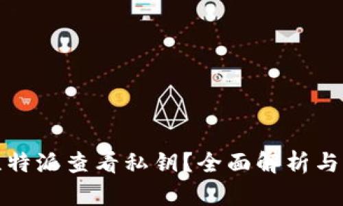 如何在比特派查看私钥？全面解析与实用教程