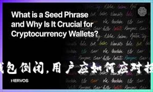 Tokenim TRX钱包倒闭，用户应如何应对损失与资金安全？