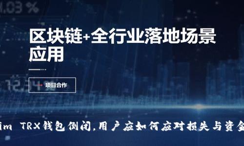 Tokenim TRX钱包倒闭,用户应如何应对损失与资金安全?
