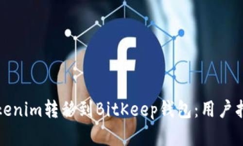 如何轻松将Tokenim转移到BitKeep钱包：用户指南与实用技巧