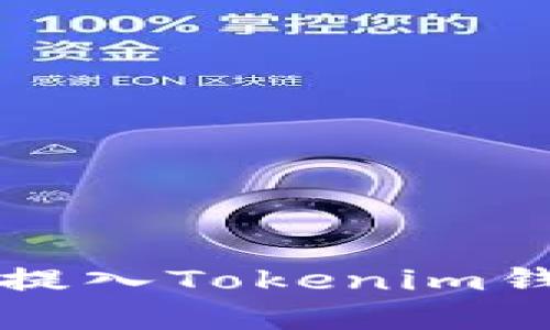 如何将FIL币安全提入Tokenim钱包？详细步骤解析