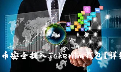 如何将FIL币安全提入Tokenim钱包？详细步骤解析
