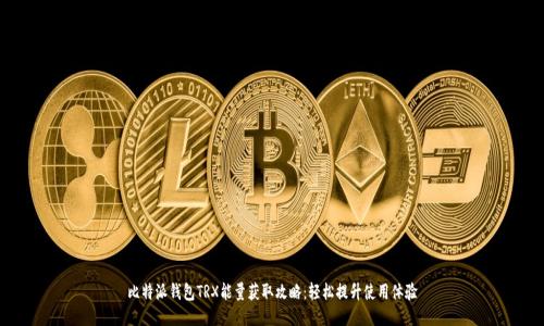 比特派钱包TRX能量获取攻略：轻松提升使用体验