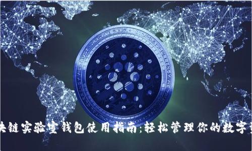 区块链实验室钱包使用指南：轻松管理你的数字资产