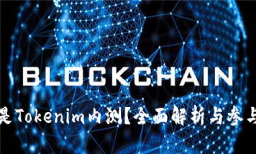 什么是Tokenim内测？全面解析与参与指南