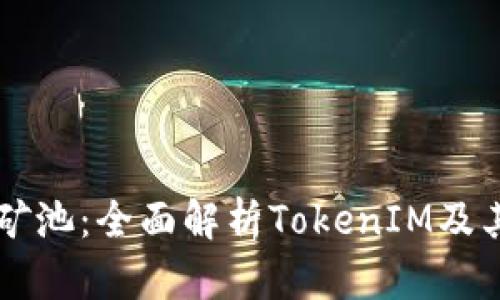 蜜蜂矿池：全面解析TokenIM及其应用