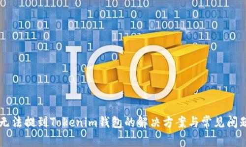 OF币无法提到Tokenim钱包的解决方案与常见问题解析