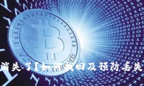 Tokenim钱包消失了？如何找回及预防丢失的方法全解析
