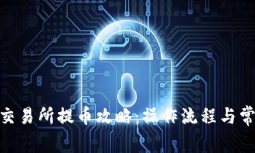 中本聪OEX交易所提币攻略：操作流程与常见问题详解