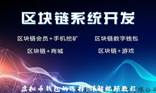虚拟币钱包的选择:详解视频教程