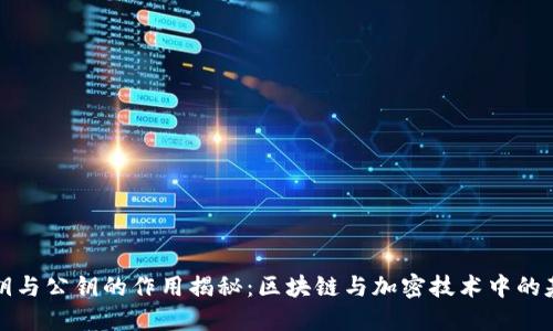 私钥与公钥的作用揭秘：区块链与加密技术中的基石