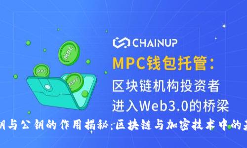 私钥与公钥的作用揭秘:区块链与加密技术中的基石