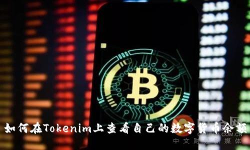 如何在Tokenim上查看自己的数字货币余额