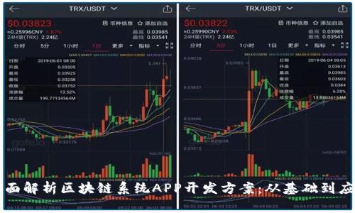 全面解析区块链系统APP开发方案：从基础到应用