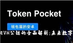 数字货币钱包和EVH公链的