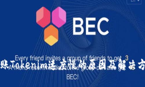 转账Tokenim速度慢的原因及解决方案