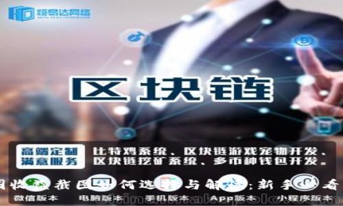 币圈收益截图如何选择与解读:新手必看指南