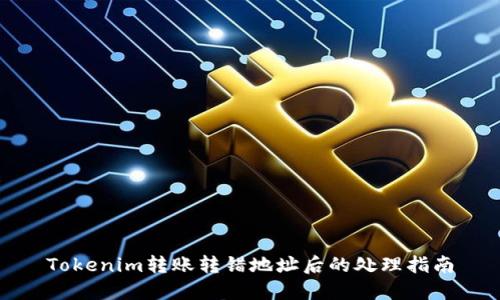 Tokenim转账转错地址后的处理指南