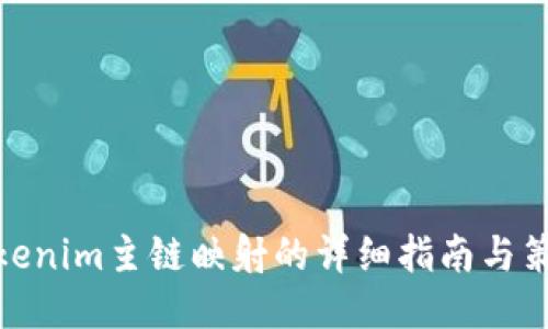 Tokenim主链映射的详细指南与策略