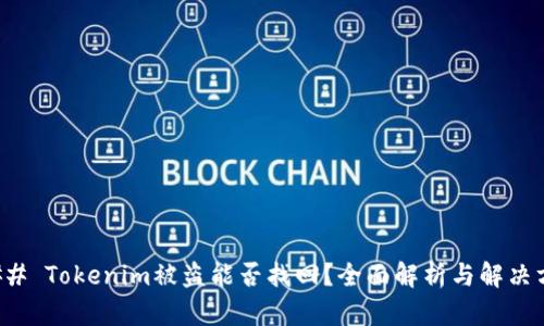 ### Tokenim被盗能否找回？全面解析与解决方案