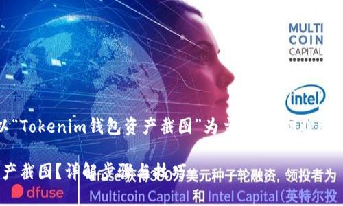 在这里，我将为你设计一个以“Tokenim钱包资产截图”为主题的，同时给出相关的关键词和内容大纲。

如何获取Tokenim钱包的资产截图？详解步骤与技巧