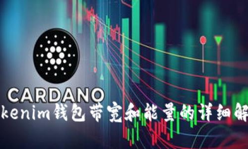 Tokenim钱包带宽和能量的详细解析
