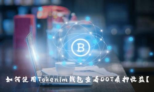 如何使用Tokenim钱包查看DOT质押收益？
