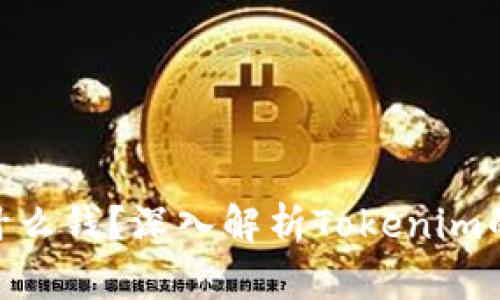 Tokenim是什么钱？深入解析Tokenim的功能与应用