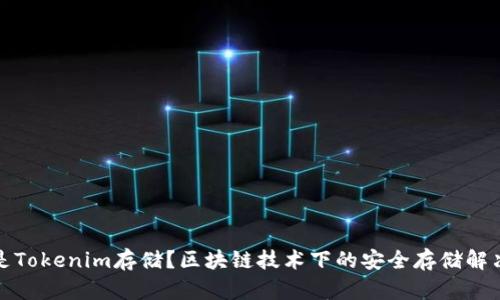 什么是Tokenim存储？区块链技术下的安全存储解决方案
