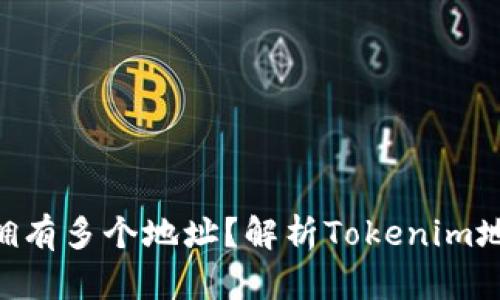 Tokenim为何拥有多个地址？解析Tokenim地址管理的奥秘