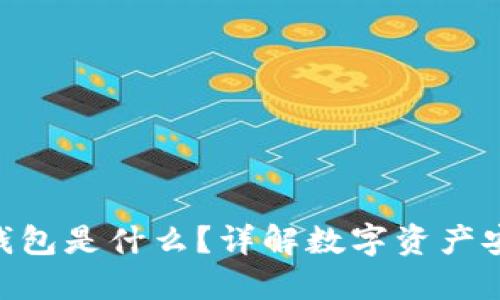 Tokenim的钱包是什么？详解数字资产安全管理工具