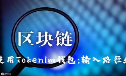 如何安全使用Tokenim钱包：输入路径和最佳实践
