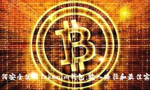 如何安全使用Tokenim钱包：输入路径和最佳实践