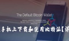 如何在手机上下载和使用