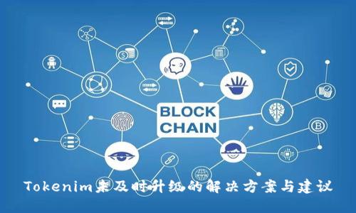 Tokenim未及时升级的解决方案与建议