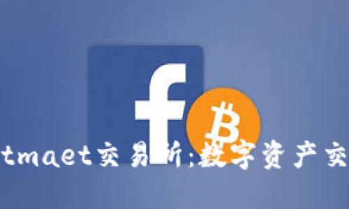 深入了解Bitmaet交易所:数字资产交易的新选择