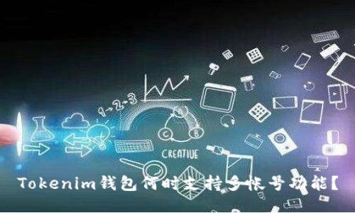 Tokenim钱包何时支持多帐号功能？