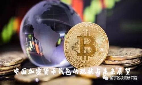 中国加密货币钱包的现状与未来展望