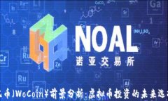 兀币（WoCoin）前景分析：
